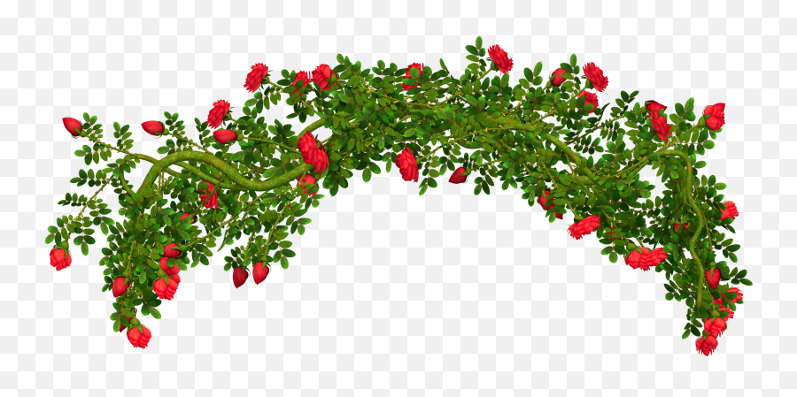 Free Bush Transparent Png Download Clip Art - Plants Top View Png,Hanging Plants Png