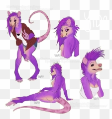 Hd Pretty Possum - Marsupial Furry Trans 1051004 Png Drawing Cartoon Opossum,Possum Transparent