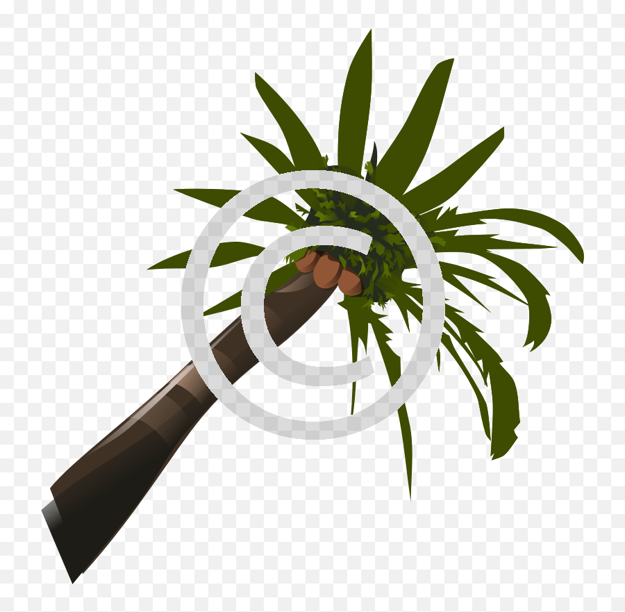 Coconut Tree - Palm Tree Clip Art Png,Coconut Tree Png