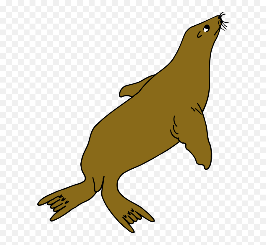Line Artwildlifewing Png Clipart - Royalty Free Svg Png Seal Drawing With Colour,Walrus Png