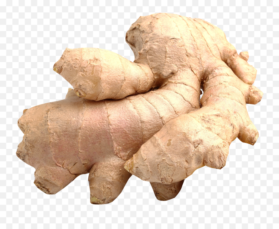 Ginger Png Image For Free Download - Stem As A Source Of Food,Ginger Png