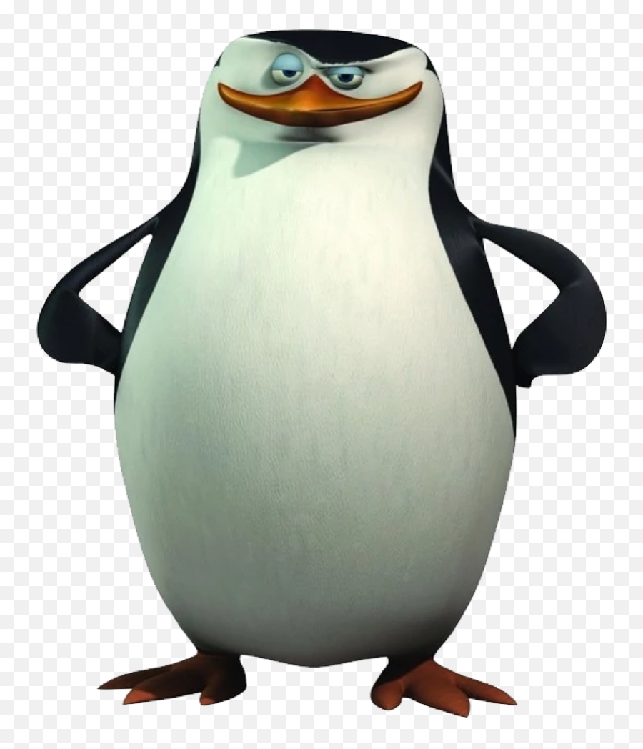 Madagascar Penguin Png Image - Penguins Of Madagascar Kowalski,Penguin Transparent