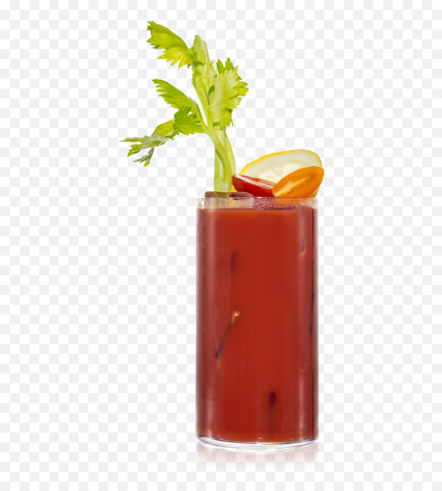 Bloody Mary - Vegetable Juice Png,Bloody Mary Png