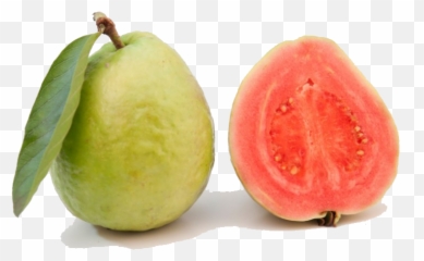 Red Guava Png Transparent Image - Common Guava,Guava Png