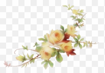 My Website Rose Vine Png - Artificial Flower