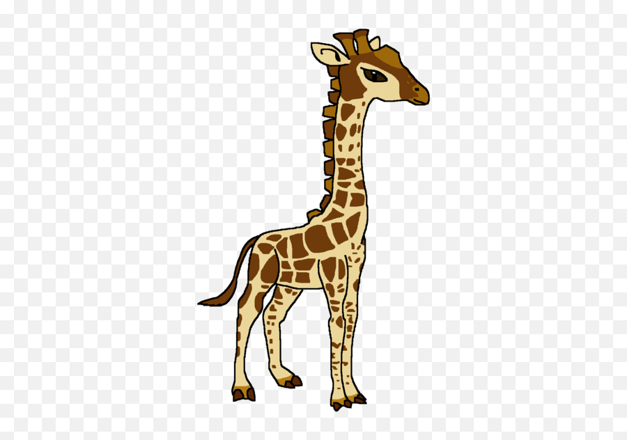 The Giraffes - World Of Zoo Wii Giraffe Png,Giraffe Png