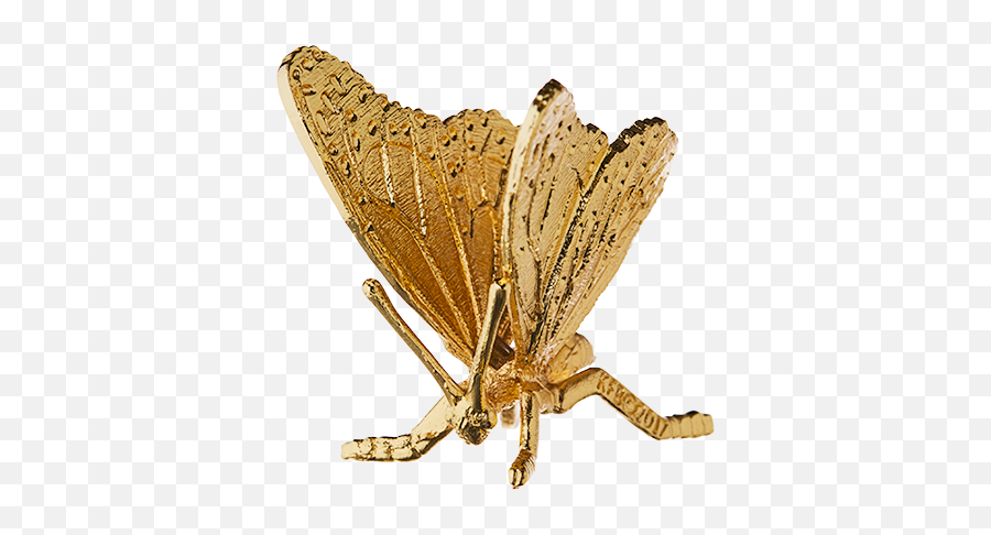 Download Hd Monarch Butterfly Gold - Plated Figurine Parasitism Png,Gold Butterfly Png