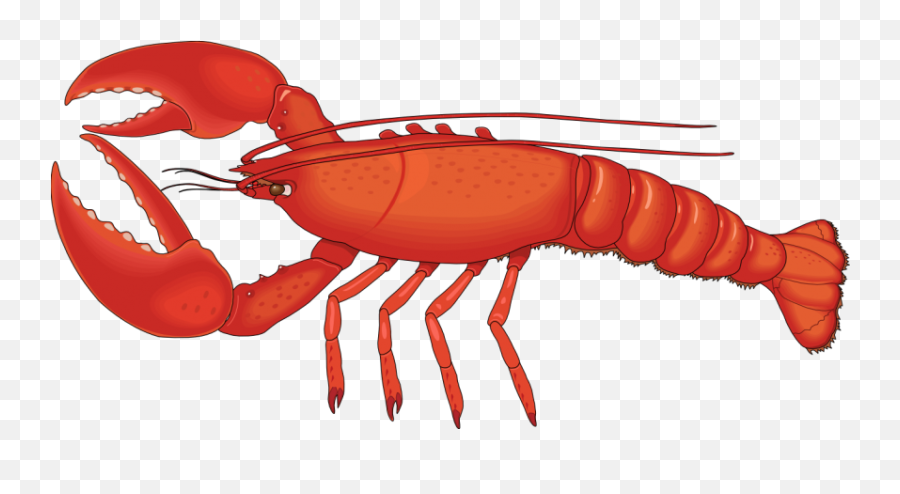 Lobster Png Hd - Lobster Clipart,Lobster Png