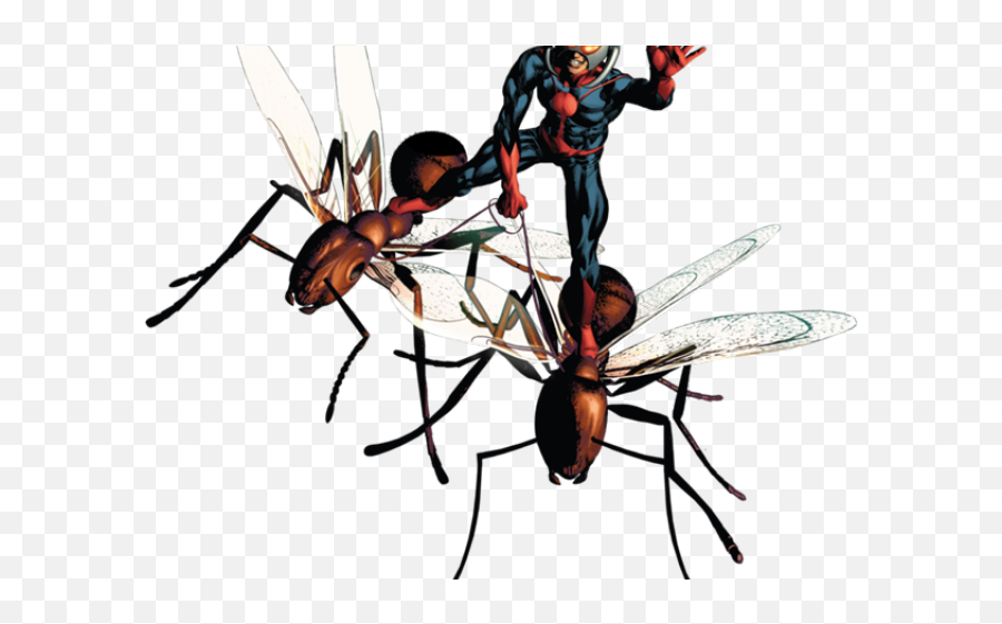 Ant - Antman Comic Png,Ant Man Transparent
