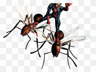 Ant - Antman Comic Png,Ant Man Transparent