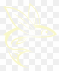 How Is Volans Tequila Made - Volans Tequila Png,Flying Fish Logo