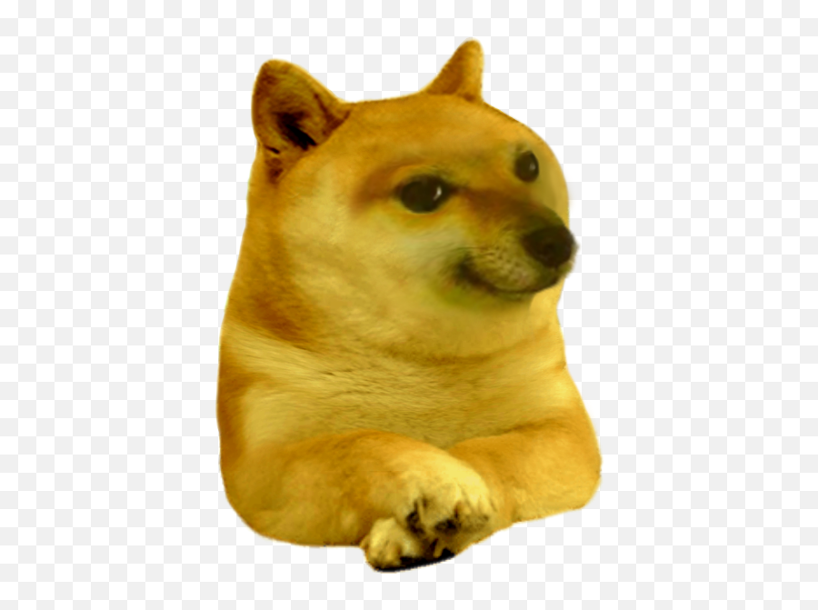 Dogelore - Cheems Doge Png,Doge Face Png