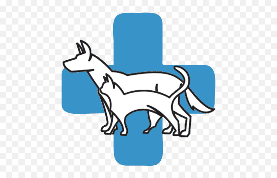 Furry Friends Animal Hospital - Vets Near Me Drawing Png,Furry Icon