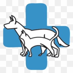 Furry Friends Animal Hospital - Vets Near Me Drawing png