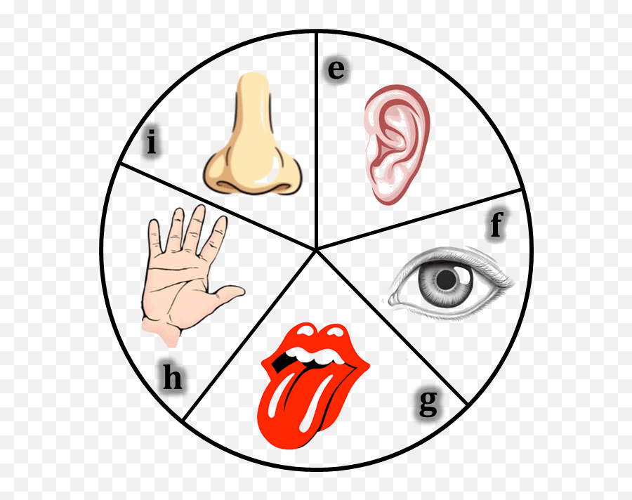 Tongue Clipart 5 Senses Figure Of Sense Organs Png 5 Senses Icon Free Transparent Png Images Pngaaa Com