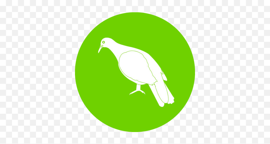 Controlling - Durrell Domestic Pigeon Png,Invasive Plant Icon