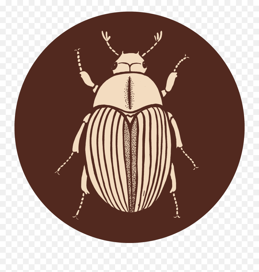 Contact - Parasitism Png,Beetle Icon