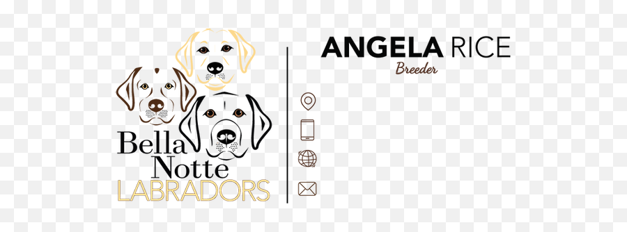 Bella Notte Labradors Pittsburgh English Labrador Retrievers - Bellas Cupcake World Png,Yellow Lab Icon Png