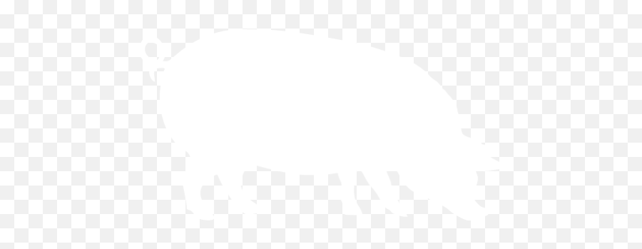 White Pig 4 Icon - Free White Animal Icons Pig White Icon Png,Pig Icon