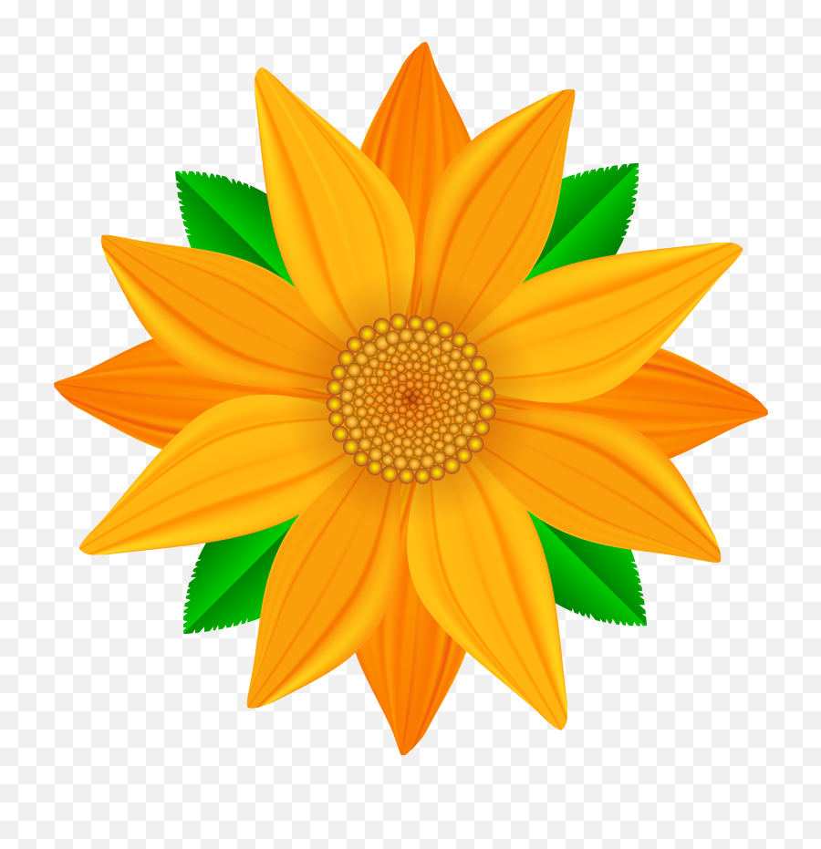 Pin - Transparent Clipart Of Flowers Png,Orange Flowers Png