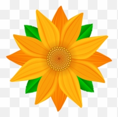 Pin - Transparent Clipart Of Flowers Png,Orange Flowers Png