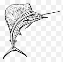 Marlin Fish Sword Game - Free Image On Pixabay Marlin Png,Marlin Png