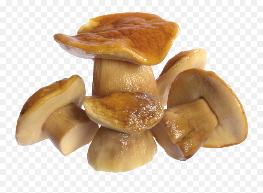 Mushroom Png Image - Png,Mushroom Png