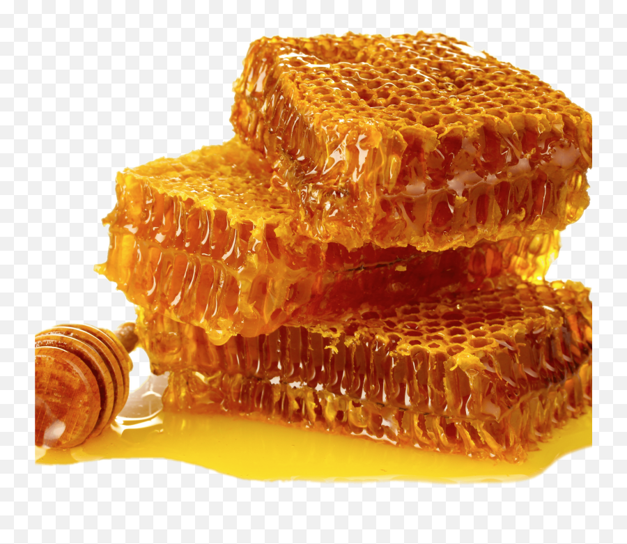 Honey Png - Real Honeycomb Png,Honey Transparent