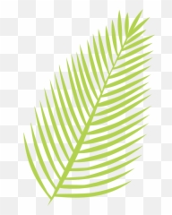 Palm Leaf Svg Cut File - Svg png
