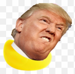Donald Trump As A Duck Donaldtrump - Donald Trump Jacob Zuma Png,Trump Head Transparent