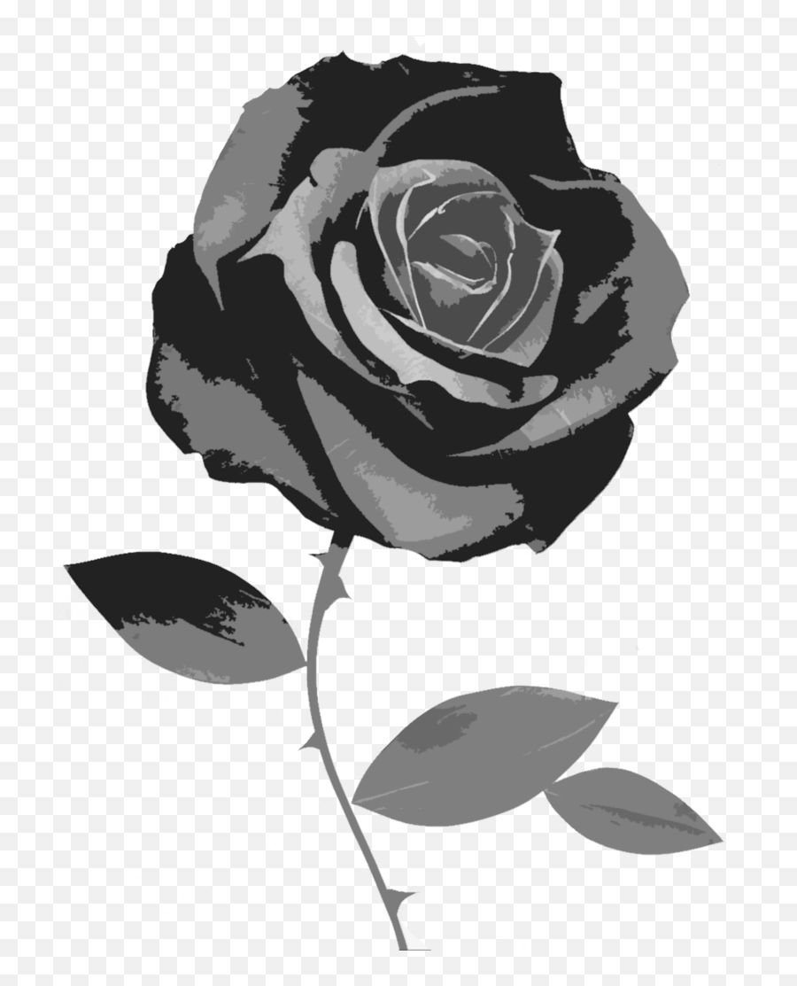 Flower Png Black And White - Transparent Background Black Rose Png,White Rose Transparent Background