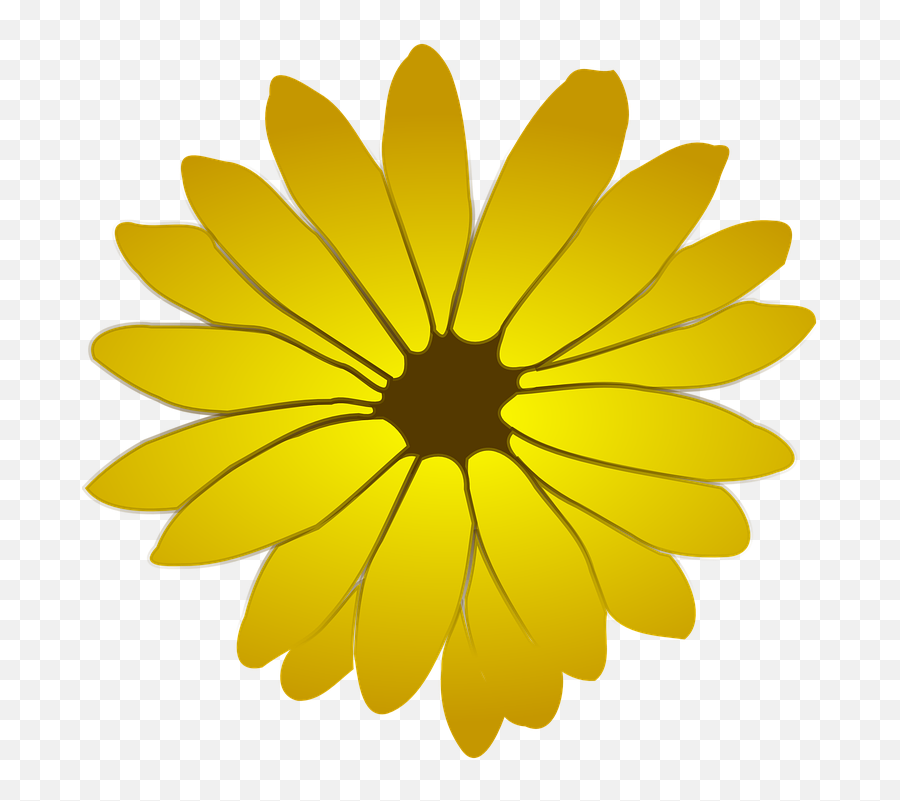 Yellow Flowers Dandelion - Free Vector Graphic On Pixabay Things That Start With Letter F Preschool Png,Yellow Flower Png