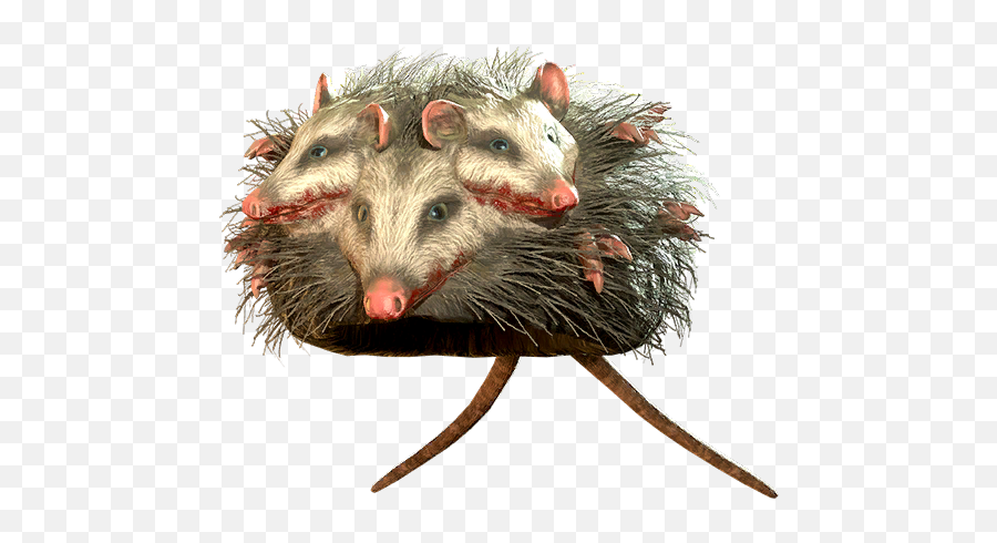 Rad Opossum Hat - The Vault Fallout Wiki Everything You Png,Possum Transparent