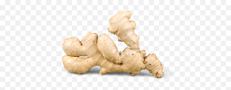 Download Ginger Png Transparent Image