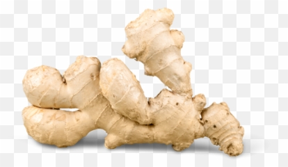 Download Ginger Png Transparent Image