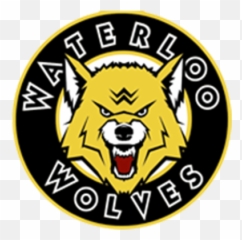 Wolves Logo Waterloo Minor Midget Aaa - Waterloo Wolves Aaa Png,Wolves Logo