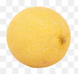 Melon Png Free Download 18 Images - Biosphere Environmental Museum,Melon Png