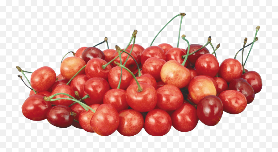 Download Cherries Png Image For Free Cherry Transparent Background