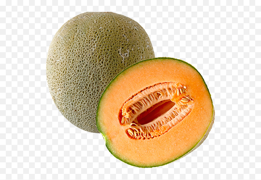Melon - Cantaloupe Clipart Png,Honeydew Png