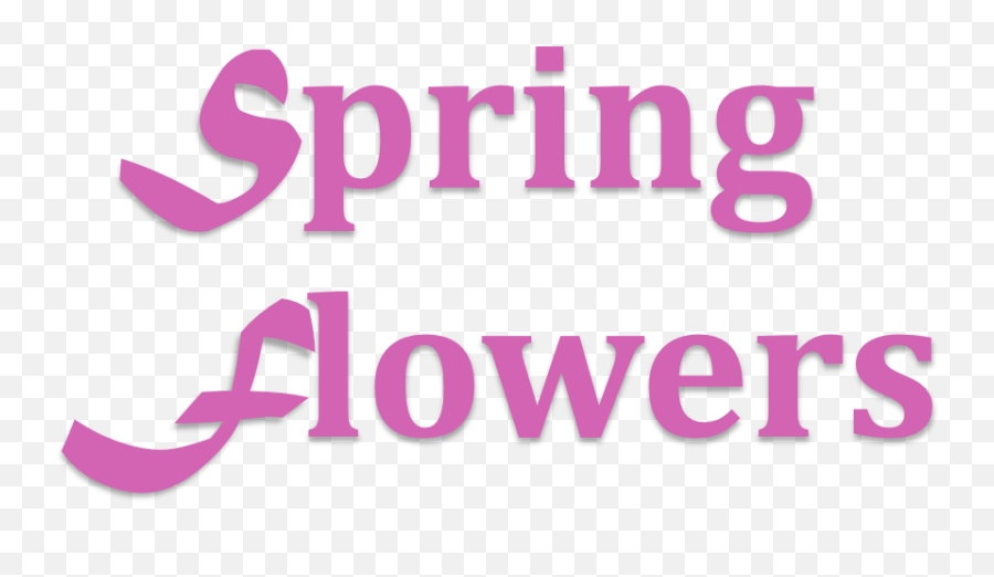 St Marys Florist - Flower Delivery By Spring Flowers Color Gradient Png,Spring Flower Png