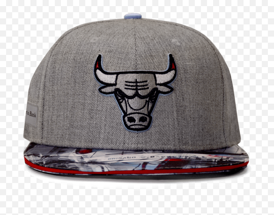 Chicago Artist Hat Series - 1718 Chicago Bulls Chicago Bulls Hats Png,Bull Bear Icon
