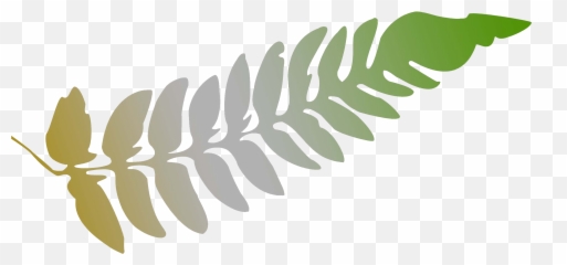 Goodell Gardens U0026 Homestead U2013 Edinborou0027s Public Garden - Fern png