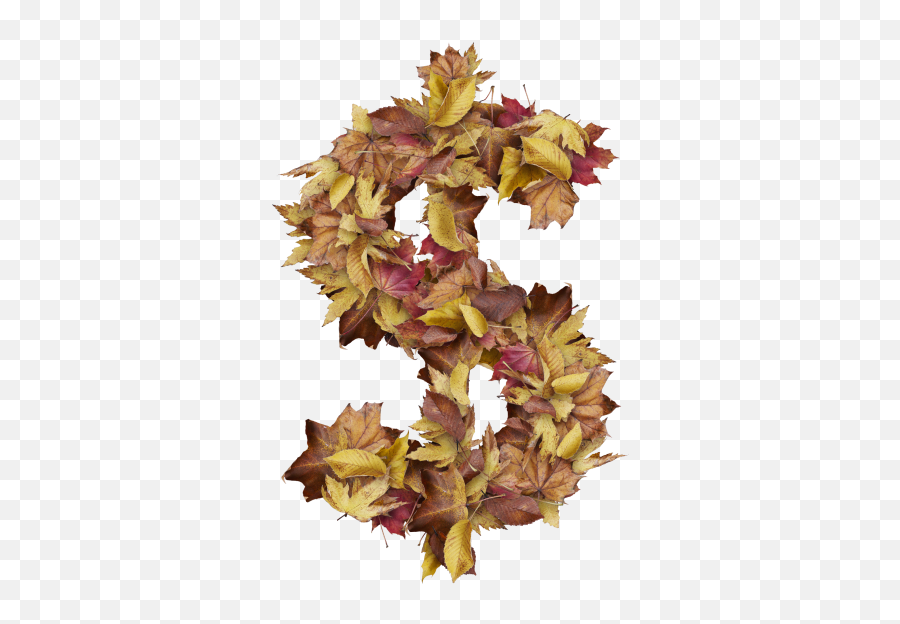 Dollar Symbol With Dry Leaves Png Transparent Image - Vertical,Gold Question Mark Icon