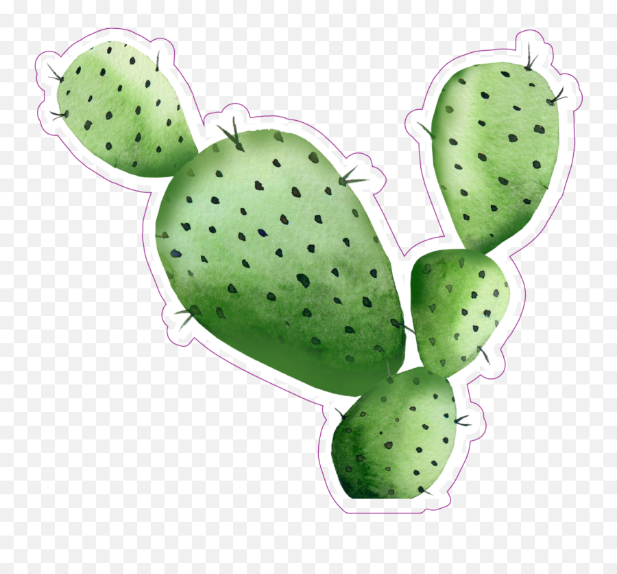 Sharp Watercolor Cactus Sticker - Watercolor Cactus Transparent Png,Watercolor Cactus Png
