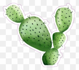 Sharp Watercolor Cactus Sticker - Transparent Png