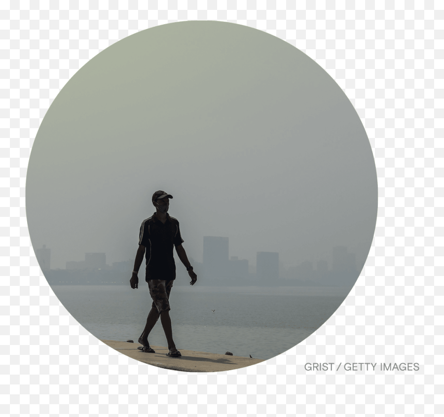 The First South Asian City With A Net - Zero Plan Grist Grist Silhouette Png,Social Media Icon Silhouettes