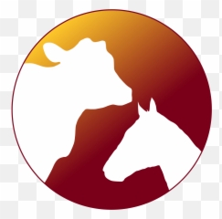 Nutrition Basics U2013 Veterinary Preventive Medicine - Horse png