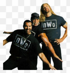 Nwo Logo Version 3 Wolfpack Addition Roblox Nwo Wolfpack Png Free Transparent Png Images Pngaaa Com - wcw nitro roblox