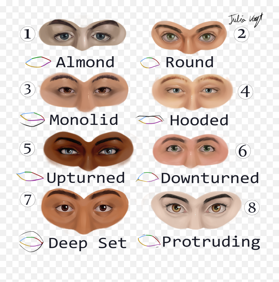 Clip Studio Tips - Eye Shapes Png,Realistic Eye Png