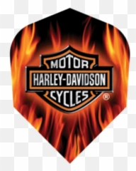 Harley Davidson Orange Wings 2995orangewings - 425 Logo png